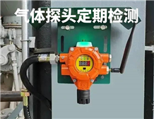 GB 12358-2024 "General Technical Requirements for Workplace Gas Detection and Alarm Instruments" updated